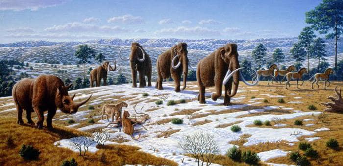Плейстоцен для Евразии и Северной Америки был характерен разнообразным животным миром. Мамонты, пещерные львы, шерстистые носороги, яки, бизоны, дикие лошади, гигантские олени, верблюды, гигантские гепарды... Вымирание в четвертичном периоде особенно ударило по мегафауне – животным тяжелее 45 килограмм